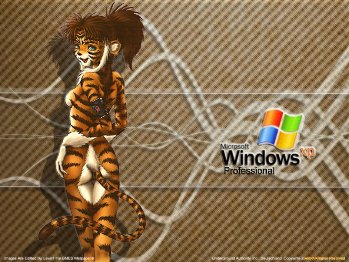 , windows, xp